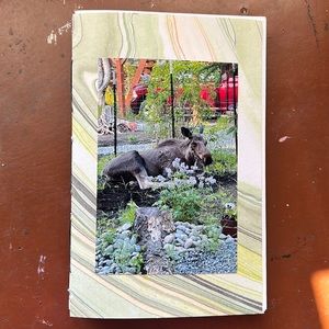 One of a kind blank journal made in Alaska!